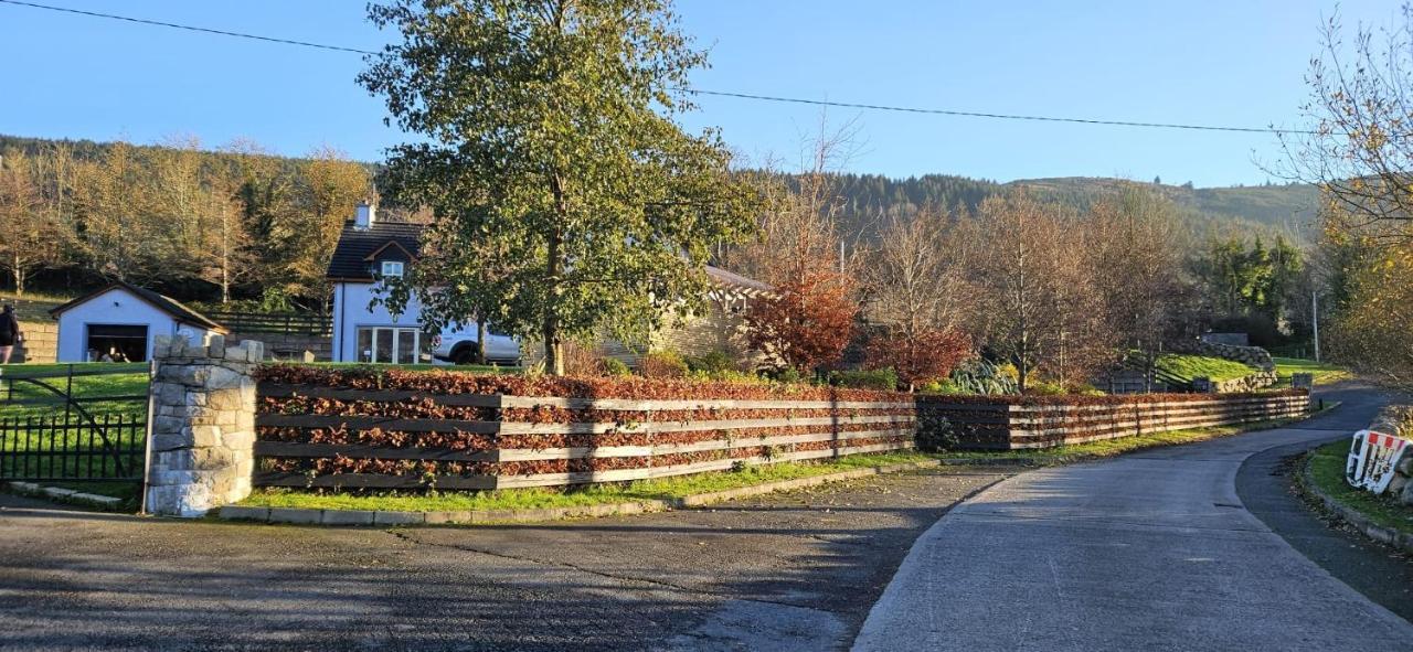 Rostrevor Valley House -Mountainside Hot Tub View Newry Exterior photo